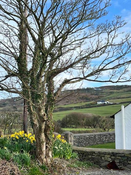 Villa Gors Eilian Amlwch Esterno foto